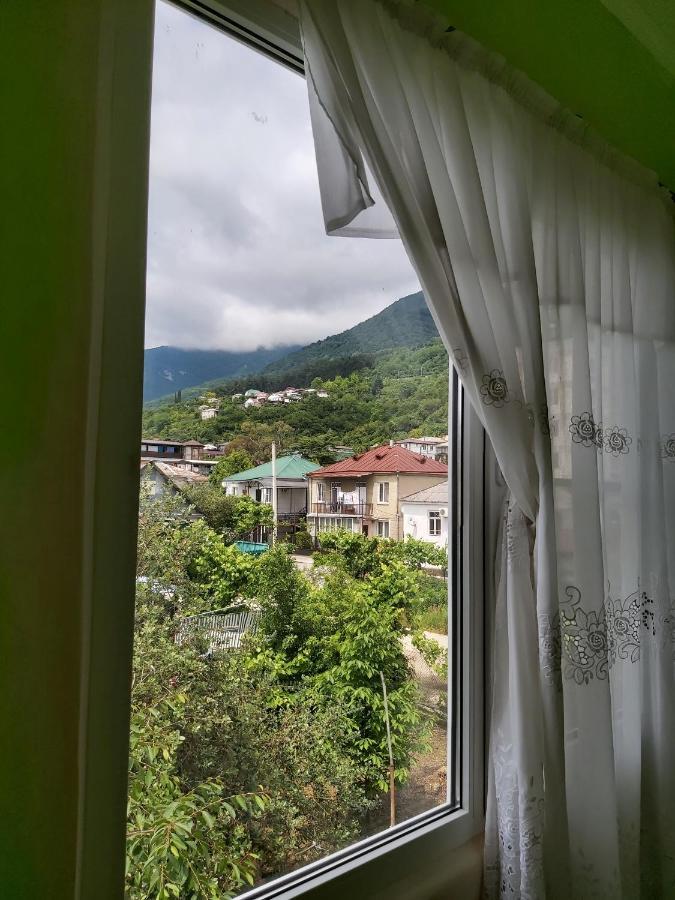Na Shapsug Guest House Gagra Eksteriør billede