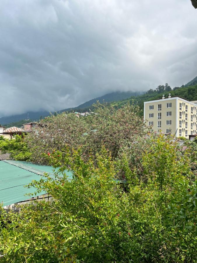 Na Shapsug Guest House Gagra Eksteriør billede