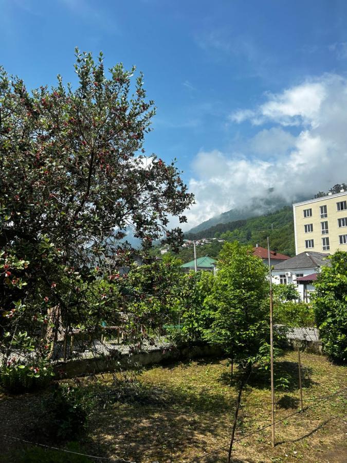 Na Shapsug Guest House Gagra Eksteriør billede
